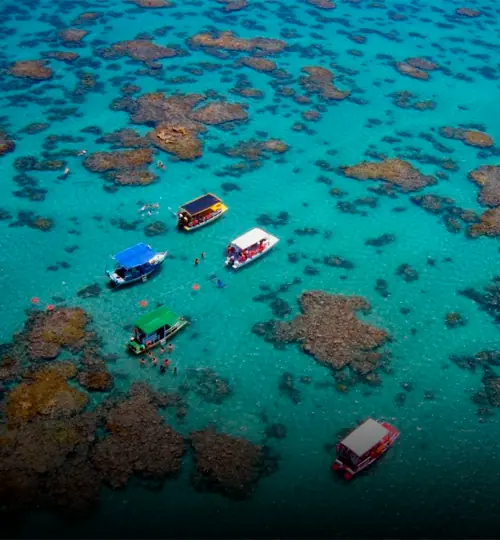 Perobas: snorkelling over the coral reef pools at low tide