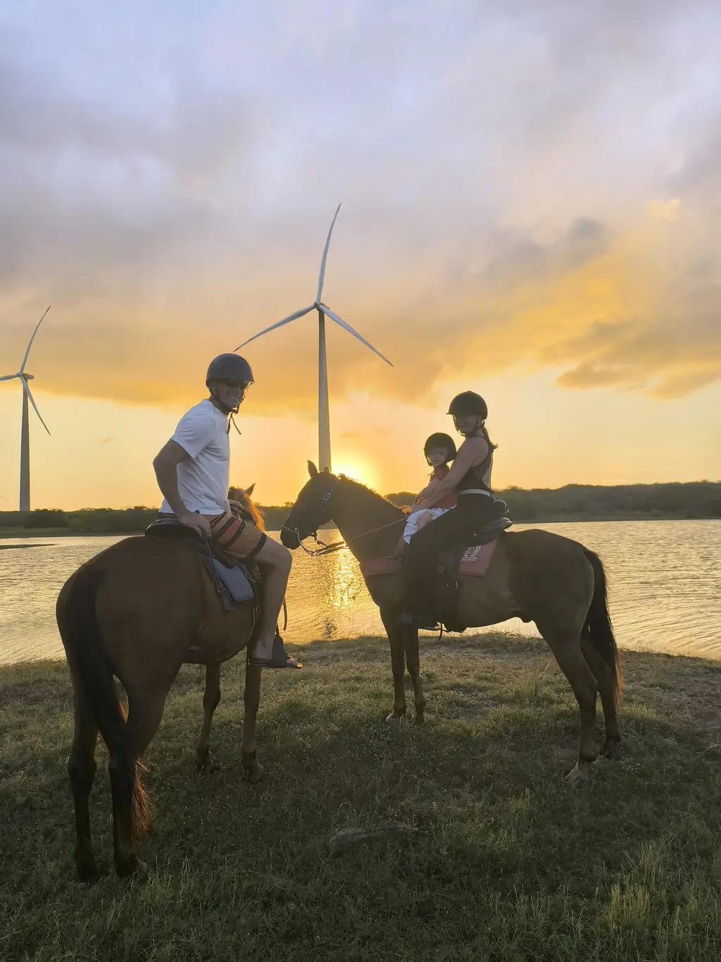 Horseback riding on the fields at sunset, wind turbines behind