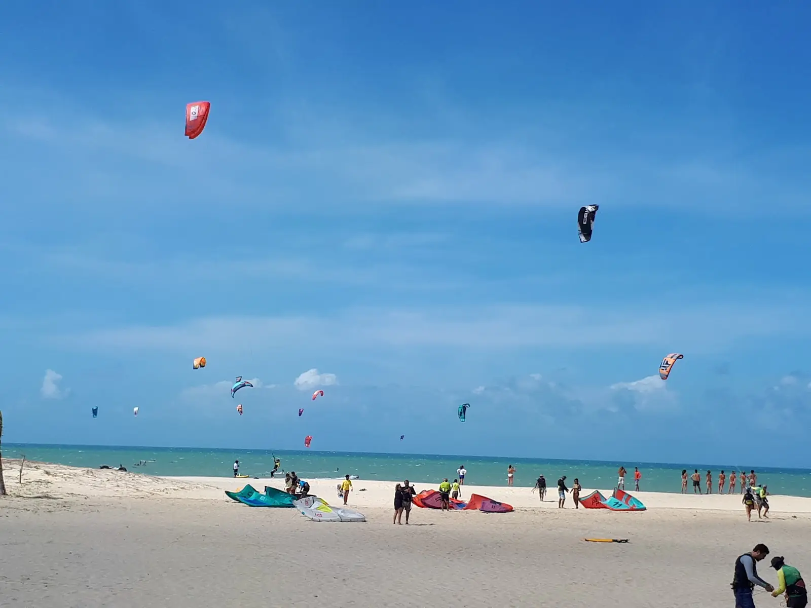 Beach with many kites in the sky and people and kite gear on the sand